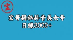 宝哥揭秘抖音美女号玩法,日赚3000+【揭秘】-如意资源库