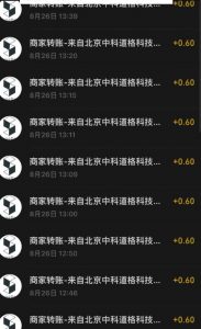 接码无限撸红包一分钟0.6无脑操作一天保底利润200-如意资源库