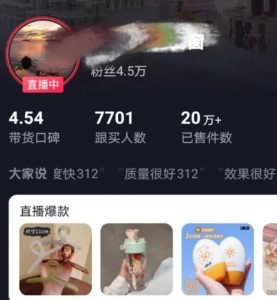 全新的蓝海赛道，抖音一元直播，不用囤货，不用出镜，照读话术也能20w+月销量【揭秘】-如意资源库