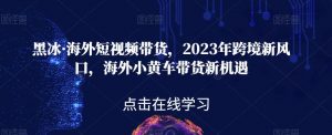黑冰·海外短视频带货，2023年跨境新风口，海外小黄车带货新机遇-如意资源库