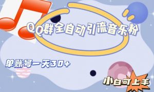 QQ群全自动引流音乐粉，单账号一天轻松引流30+-如意资源库