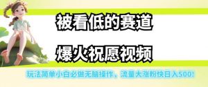 被看低的赛道爆火祝愿视频,玩法简单小白必做无脑操作,流量大涨粉快日入500-如意资源库