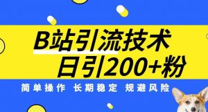 B站引流技术:每天引流200精准粉,简单操作,长期稳定,规避风险-如意资源库