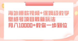 海外爆款视频+保姆级教学,壁纸号项目最新玩法,月入10000+教你一步到位【揭秘】-如意资源库