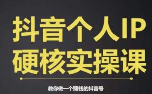 个人IP创富系统实战课,商业定位,流量打造,短视频变现,教你做个赚钱的抖音号-如意资源库