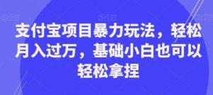 支付宝项目暴力玩法，轻松月入过万，基础小白也可以轻松拿捏【揭秘】-如意资源库