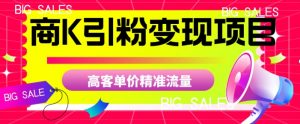 商K引粉变现项目，高客单价精准流量【揭秘】-如意资源库