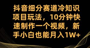 抖音细分赛道冷知识项目玩法，10分钟快速制作一个视频，新手小白也能月入1W+【揭秘】-如意资源库