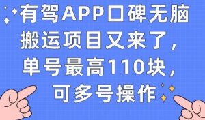 有驾APP口碑无脑搬运项目又来了，单号最高110块，可多号操作-如意资源库