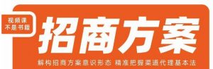 王昕招商方案，解构招商方案意识形态，精准把握渠道代理基本法-如意资源库
