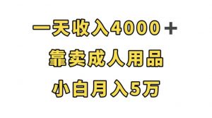 一天收入4000+,靠卖成人用品,小白轻松月入5万【揭秘】-如意资源库