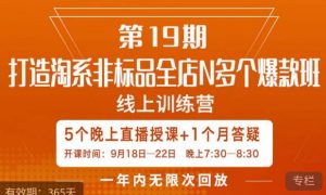 打造淘系非标全店N多个爆款线上课，​5天直播课-如意资源库