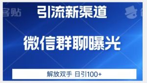 价值2980的全新微信引流技术,只有你想不到,没有做不到【揭秘】-如意资源库
