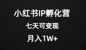 价值2000+的小红书IP孵化营项目,超级大蓝海,七天即可开始变现,稳定月入1W+-如意资源库