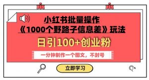 小红书批量操作《1000个野路子信息差》玩法，一分钟制作一个图文，不封号，日引100+创业粉-如意资源库