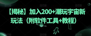 【揭秘】加入200+潮玩宇宙新玩法（附软件工具+教程）-如意资源库