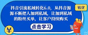 抖音引流私域转化6.0，从抖音源源不断把人加到私域，让加到私域的粉丝买单，让客户持续购买-如意资源库