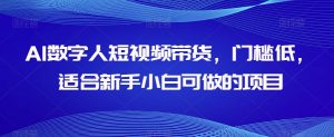 AI数字人短视频带货，门槛低，适合新手小白可做的项目-如意资源库