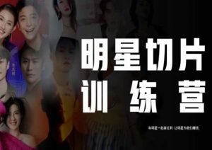 王子·明星切片线上训练营（2023），和明星一起拿红利，让明星为我们赚钱-如意资源库