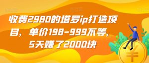 收费2980的塔罗ip打造项目，单价198-999不等，5天赚了2000块【揭秘】-如意资源库