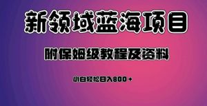 虚拟资源蓝海领域新项目，轻松日入800＋，附保姆级教程及资料-如意资源库
