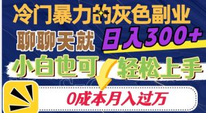 冷门暴利的副业项目,聊聊天就能日入300+,0成本月入过万【揭秘】-如意资源库