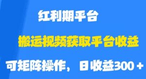 搬运视频获取平台收益，平台红利期，附保姆级教程【揭秘】-如意资源库