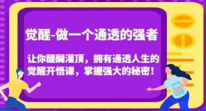 觉醒-做一个通透的强者,让你醍醐灌顶,拥有通透人生的觉醒开悟课,掌握强大的秘密!-如意资源库