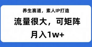 养生赛道,素人IP打造,流量很大,可矩阵,月入1w+【揭秘】-如意资源库