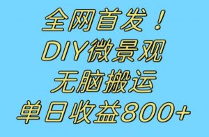 全网首发冷门赛道！DIY微景观，无脑搬运视频，日收益800+【揭秘】-如意资源库