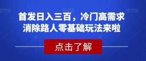 首发日入三百，冷门高需求消除路人零基础玩法来啦【揭秘】-如意资源库