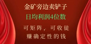 金矿旁边卖铲子，赚确定性的钱，可矩阵，可收徒，日均利润4位数【揭秘】-如意资源库