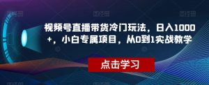 视频号直播带货冷门玩法，日入1000+，小白专属项目，从0到1实战教学【揭秘】-如意资源库