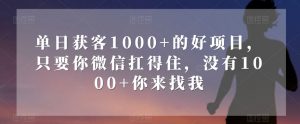 单日获客1000+的好项目，只要你微信扛得住，没有1000+你来找我【揭秘】-如意资源库