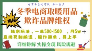 利用电商平台冬季销售取暖用品欺诈行为合理制裁店铺，单日入900+【仅揭秘】-如意资源库
