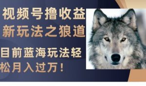 视频号撸收益新玩法之狼道，目前蓝海玩法，轻松月入过万【揭秘】-如意资源库