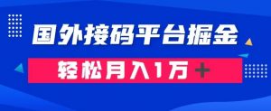 通过国外接码平台掘金：成本1.3，利润10＋，轻松月入1万＋【揭秘】-如意资源库