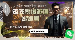 矩阵刷爆微信蝴蝶号创作者分成计划收益的新玩法，日入2000+【揭秘】-如意资源库