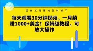 每天观看30分钟视频，一月躺赚1000+美金！保姆级教程，可放大操作【揭秘】-如意资源库