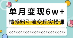 单月变现6W+，抖音情感粉引流变现实操课，小白可做，轻松上手，独家赛道【揭秘】-如意资源库