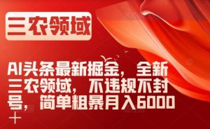 AI头条最新掘金,全新三农领域,不违规不封号,简单粗暴月入6000+【揭秘】-如意资源库