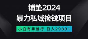 暴力私域捡钱项目，小白无脑操作，日入2980【揭秘】-如意资源库