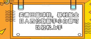 卖莆田篮球鞋，暴利掘金日入四位数新手小白都可以轻松上手【揭秘】-如意资源库