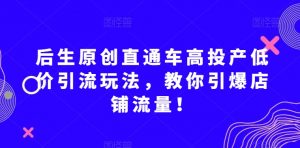后生原创直通车高投产低价引流玩法，教你引爆店铺流量！-如意资源库