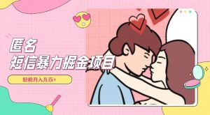 全网首发，揭秘超冷门匿名短信项目，通过信息差日入几百+【揭秘】-如意资源库