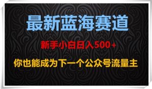 最新蓝海赛道，新手小白日入500+，你也能成为下一个公众号流量主【揭秘】-如意资源库