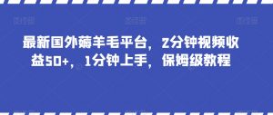 最新国外薅羊毛平台，2分钟视频收益50+，1分钟上手，保姆级教程【揭秘】-如意资源库