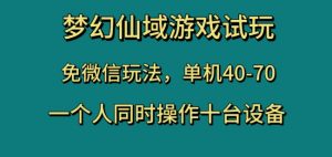 梦幻仙域游戏试玩,免微信玩法,单机40-70,一个人同时操作十台设备【揭秘】-如意资源库