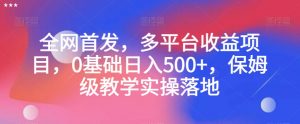 全网首发,多平台收益项目,0基础日入500+,保姆级教学实操落地【揭秘】-如意资源库