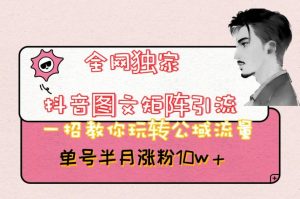全网独家抖音图文矩阵引流,一招教你玩转公域流量,单号半月涨粉10w+【揭秘】-如意资源库
